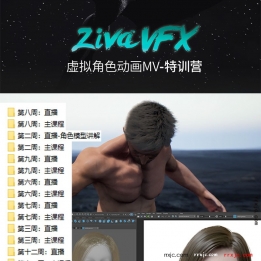 【921001】虚拟角色MV《心之旋律》-ZivaVFX&UE4动画制作特训营