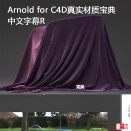 【165002]Arnold for C4D R17真实材质宝典-中文字幕R